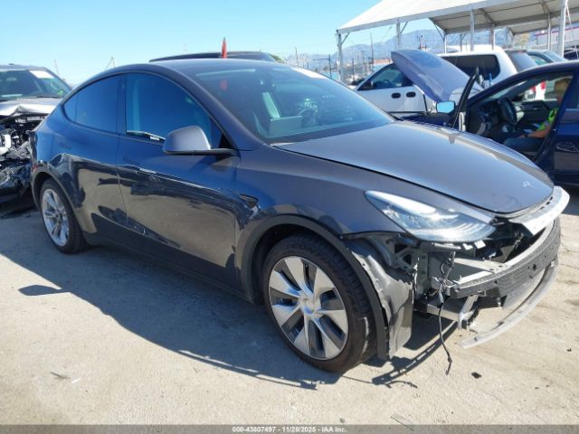 2022 TESLA MODEL Y 7SAYGDEE2NF441537