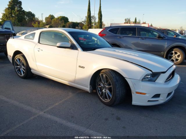 2013 FORD MUSTANG 1ZVBP8CF0D5221445