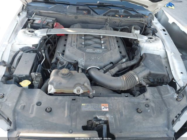 2013 FORD MUSTANG 1ZVBP8CF0D5221445 Photo 9