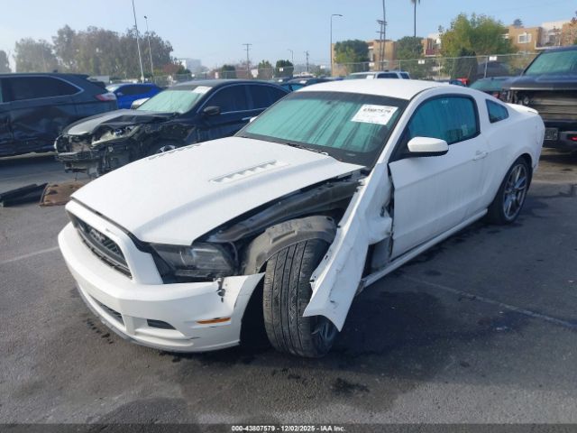 2013 FORD MUSTANG 1ZVBP8CF0D5221445 Photo 1
