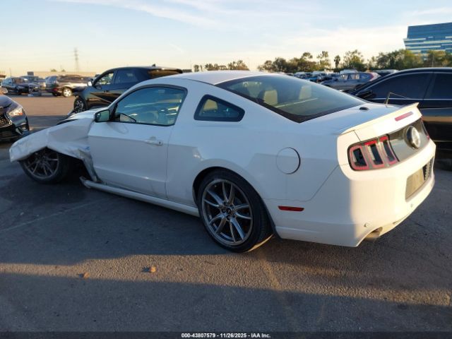 2013 FORD MUSTANG 1ZVBP8CF0D5221445 Photo 2