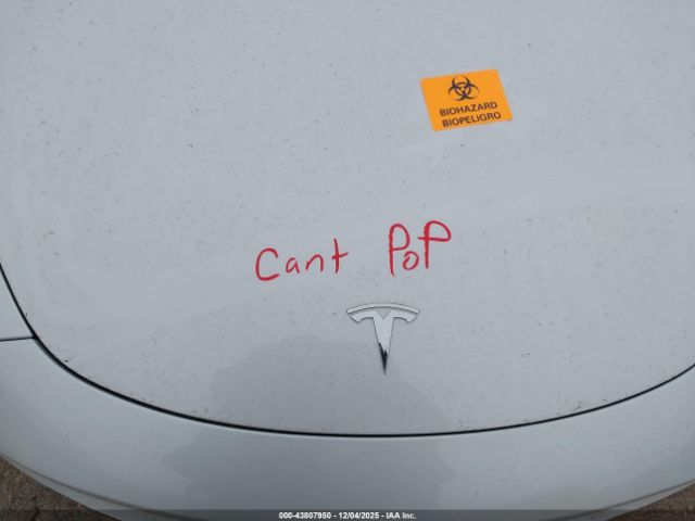2020 TESLA MODEL 3 5YJ3E1EB1LF791577 Photo 9