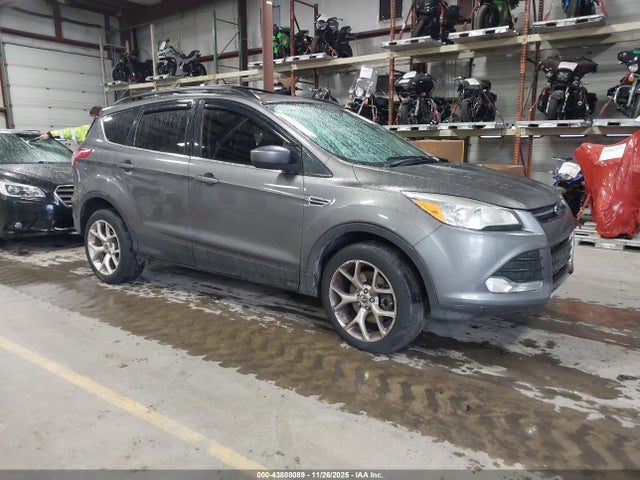 Продаж на аукціоні авто 2013 Ford Escape Se, vin: 1FMCU9GX6DUA82075, номер лоту: 43808089