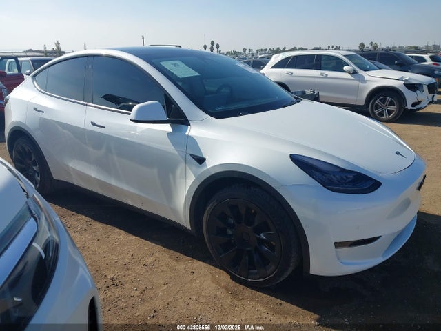 2021 TESLA MODEL Y 5YJYGDEEXMF205956 Photo 0