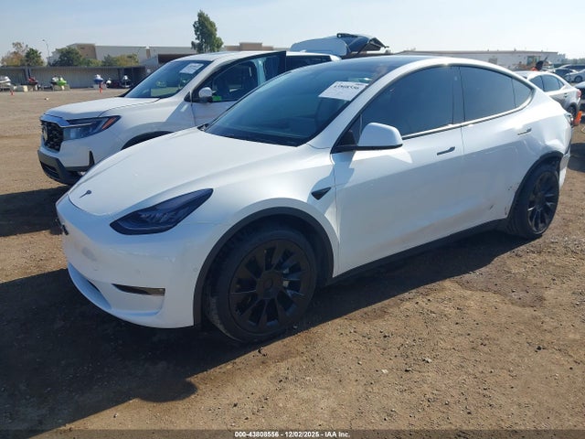 2021 TESLA MODEL Y 5YJYGDEEXMF205956 Photo 1