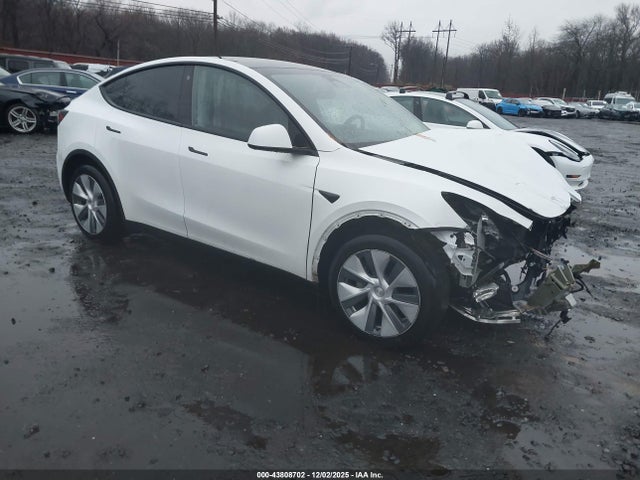 2023 TESLA MODEL Y 7SAYGDEE6PA093502 Photo 0