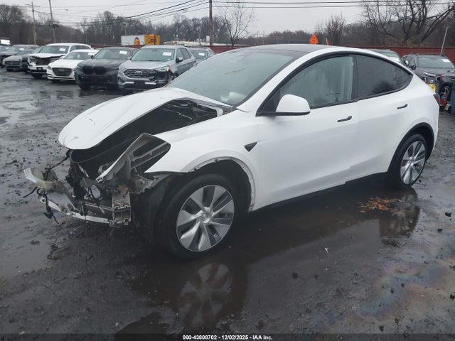 2023 TESLA MODEL Y 7SAYGDEE6PA093502 Photo 1