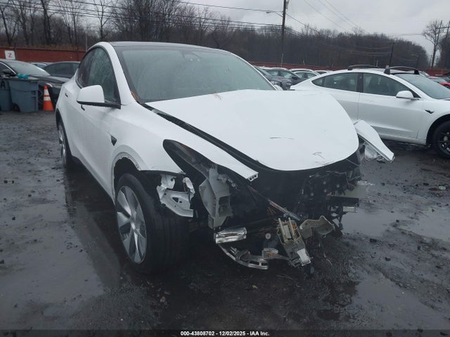 2023 TESLA MODEL Y 7SAYGDEE6PA093502 Photo 5
