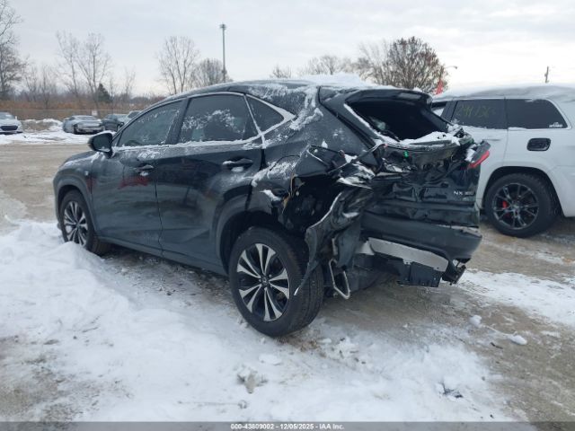 2019 LEXUS NX 300 JTJBARBZ3K2214894 Photo 2