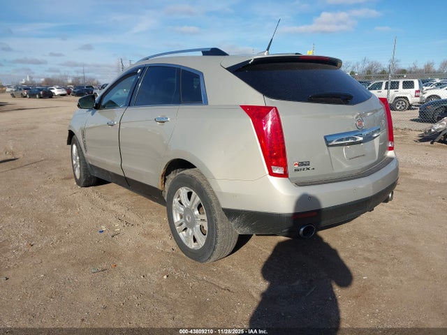 2010 CADILLAC SRX 3GYFNDEY6AS636220 Photo 2