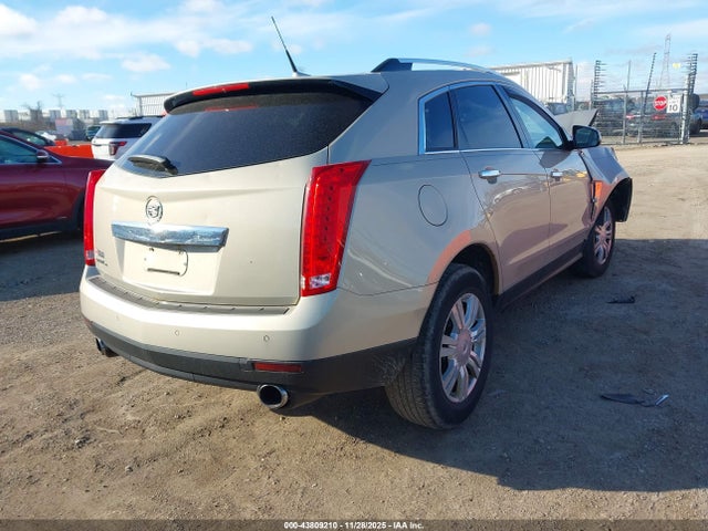 2010 CADILLAC SRX 3GYFNDEY6AS636220 Photo 3