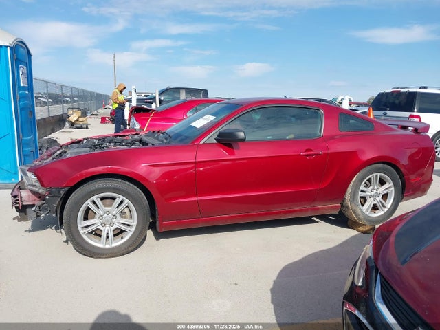 1ZVBP8AM3E5320523 Ford Mustang V6