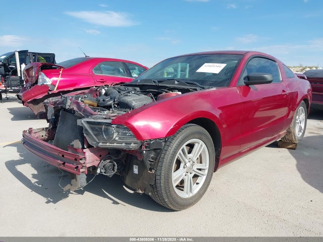 1ZVBP8AM3E5320523 Ford Mustang V6