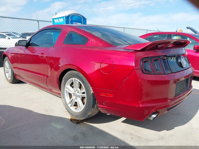 1ZVBP8AM3E5320523 Ford Mustang V6
