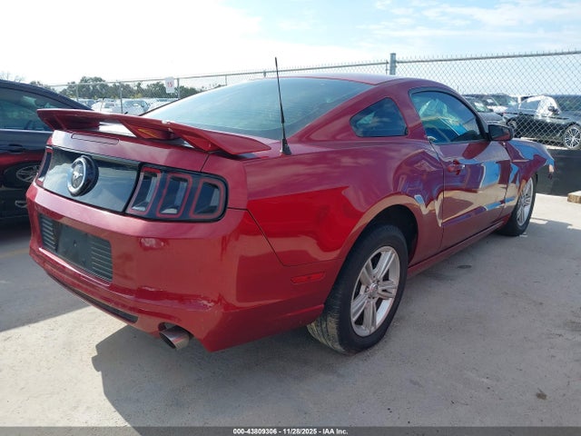 1ZVBP8AM3E5320523 Ford Mustang V6