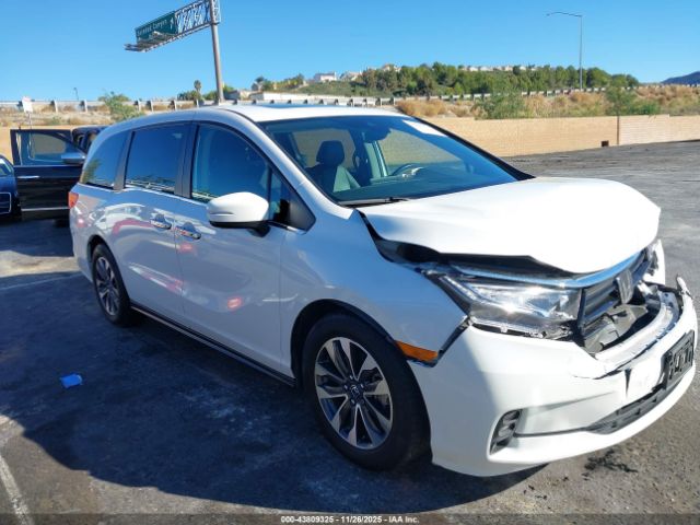 2023 HONDA ODYSSEY 5FNRL6H6XPB031262