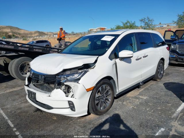 2023 HONDA ODYSSEY 5FNRL6H6XPB031262 Photo 1