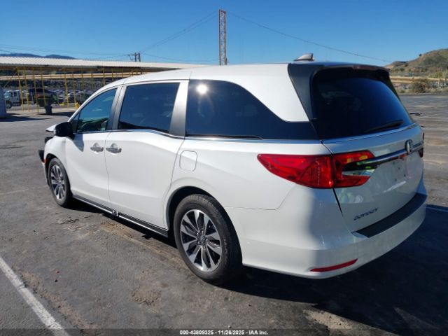 2023 HONDA ODYSSEY 5FNRL6H6XPB031262 Photo 2