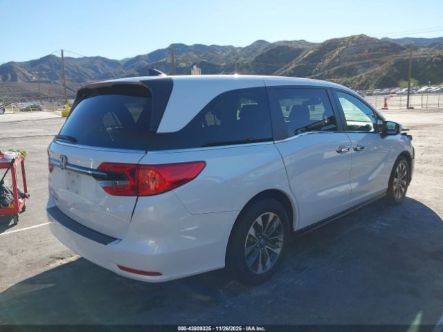 2023 HONDA ODYSSEY 5FNRL6H6XPB031262 Photo 3