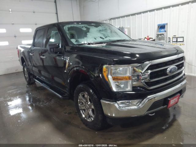 2021 FORD F-150 1FTFW1E81MFA62717