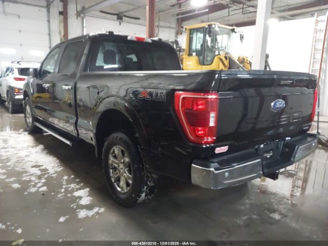 2021 FORD F-150 1FTFW1E81MFA62717 Photo 2
