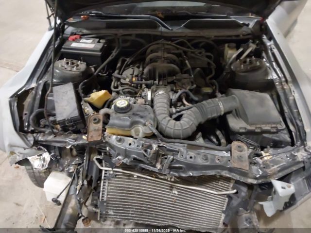 2009 FORD MUSTANG 1ZVHT84NX95105205 Photo 9