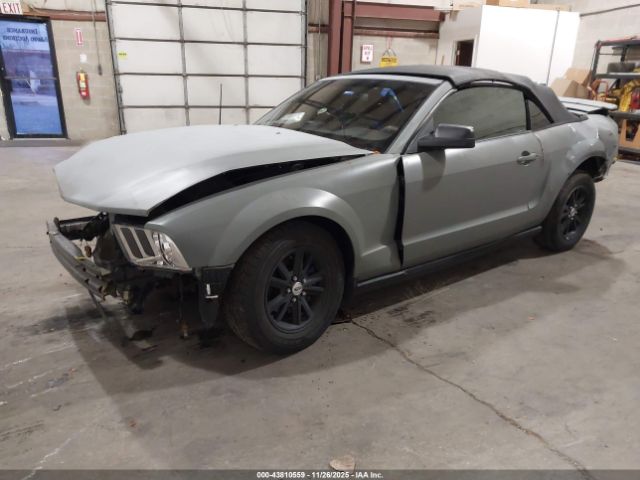 2009 FORD MUSTANG 1ZVHT84NX95105205 Photo 1
