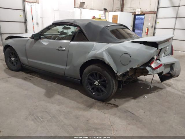 2009 FORD MUSTANG 1ZVHT84NX95105205 Photo 2