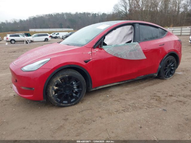 2023 TESLA MODEL Y 7SAYGAEE6PF609973 Photo 1