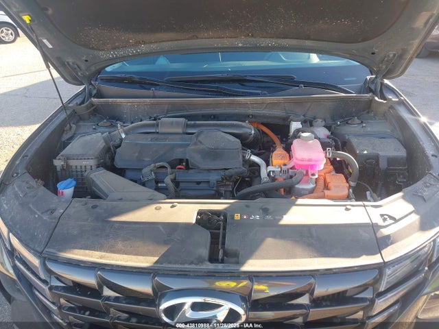 Hyundai Tucson Hybrid Blue 2024 KM8JBCD16RU236236 Image 10