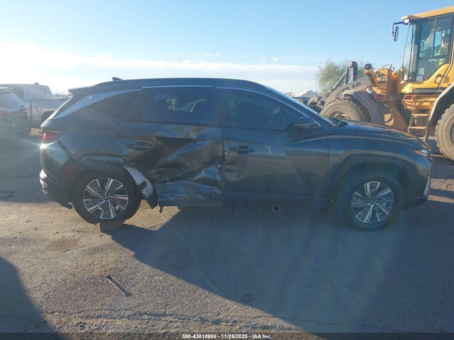Hyundai Tucson Hybrid Blue 2024 KM8JBCD16RU236236 Image 13