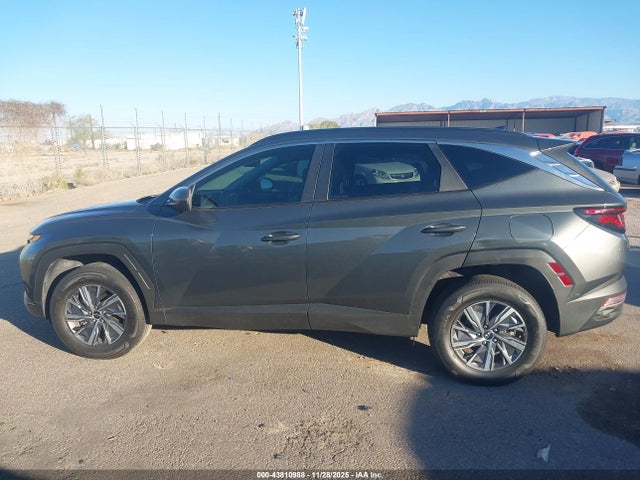 KM8JBCD16RU236236 Hyundai Tucson Hybrid Blue