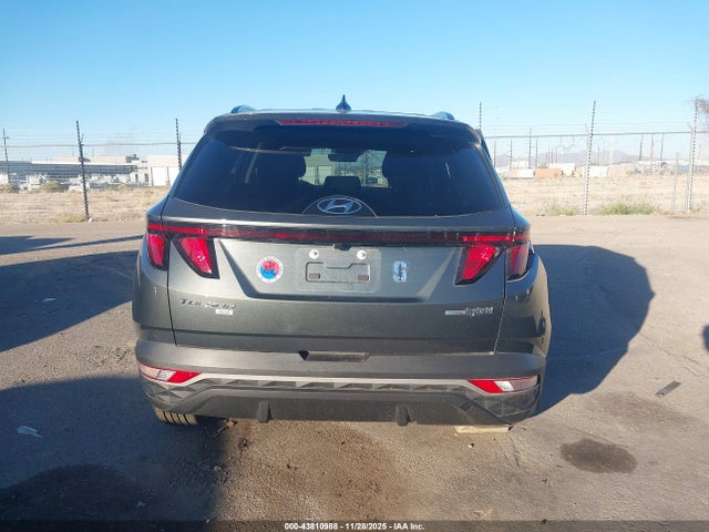 Hyundai Tucson Hybrid Blue 2024 KM8JBCD16RU236236 Image 16