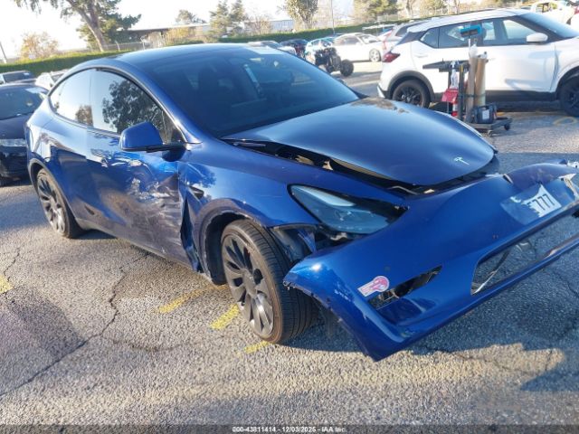 2022 TESLA MODEL Y 7SAYGDEF9NF521524