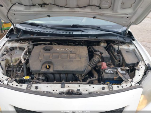 2010 TOYOTA COROLLA 2T1BU4EE0AC453955 Photo 9