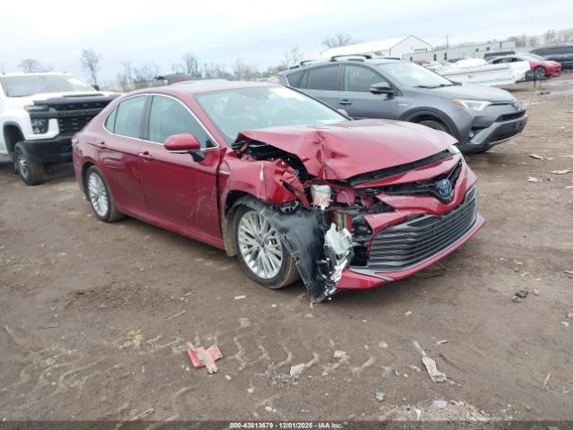 2019 TOYOTA CAMRY HYBRID 4T1B21HK1KU515384