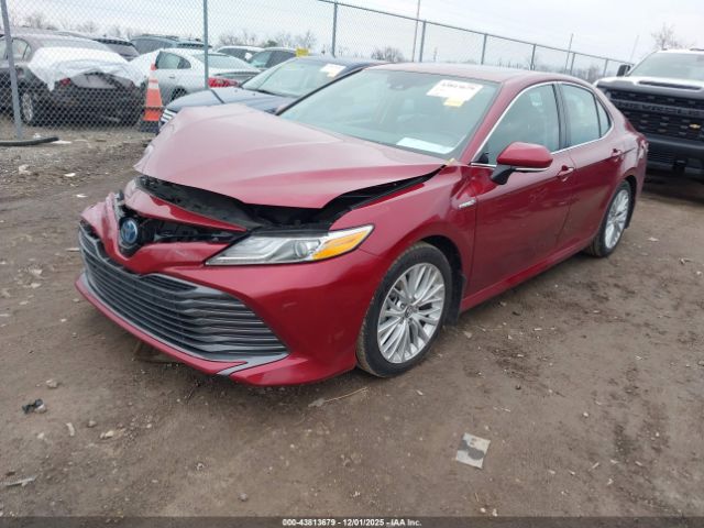 2019 TOYOTA CAMRY HYBRID 4T1B21HK1KU515384 Photo 1