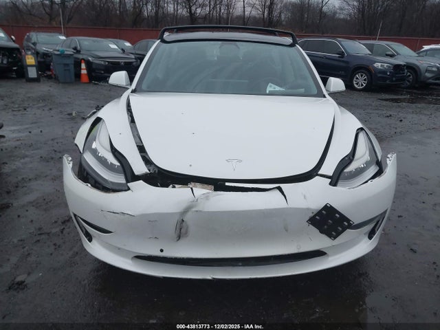 Продаж на аукціоні авто 2020 Tesla Model 3 Standard Range Plus Rear-wheel Drive/standard Range Rear-wheel Drive, vin: 5YJ3E1EA9LF802204, номер лоту: 43813773