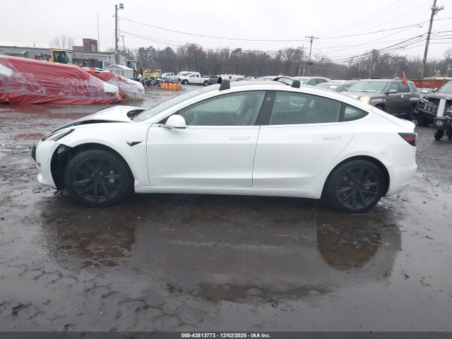 Продаж на аукціоні авто 2020 Tesla Model 3 Standard Range Plus Rear-wheel Drive/standard Range Rear-wheel Drive, vin: 5YJ3E1EA9LF802204, номер лоту: 43813773