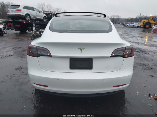 Продаж на аукціоні авто 2020 Tesla Model 3 Standard Range Plus Rear-wheel Drive/standard Range Rear-wheel Drive, vin: 5YJ3E1EA9LF802204, номер лоту: 43813773