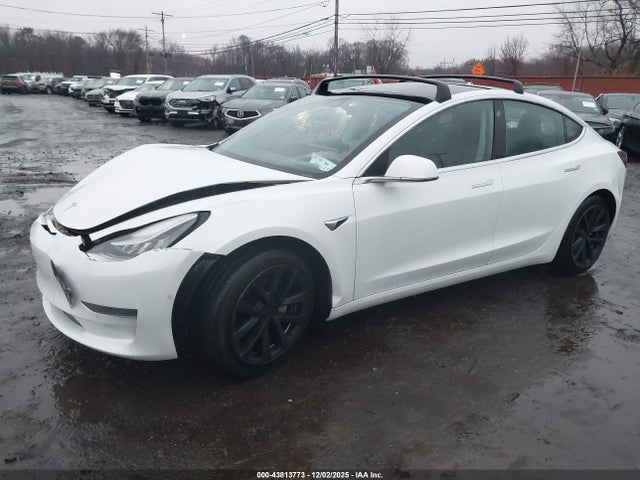 Продаж на аукціоні авто 2020 Tesla Model 3 Standard Range Plus Rear-wheel Drive/standard Range Rear-wheel Drive, vin: 5YJ3E1EA9LF802204, номер лоту: 43813773