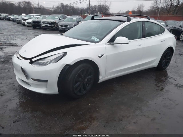 2020 TESLA MODEL 3 5YJ3E1EA9LF802204 Photo 1