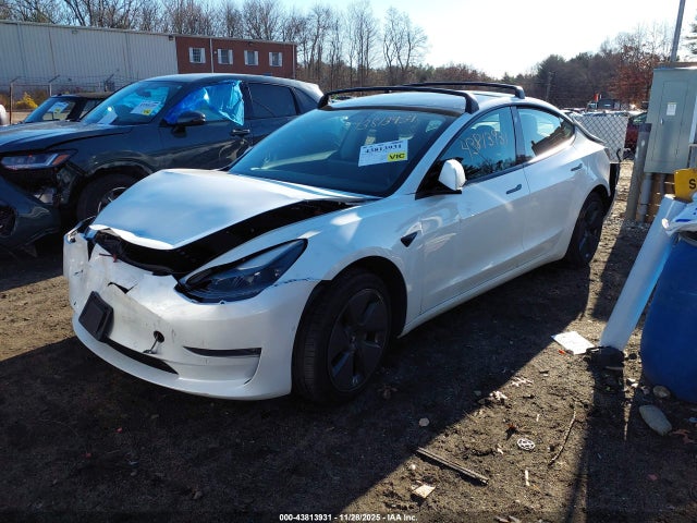 2021 TESLA MODEL 3 5YJ3E1EB4MF037087 Photo 1