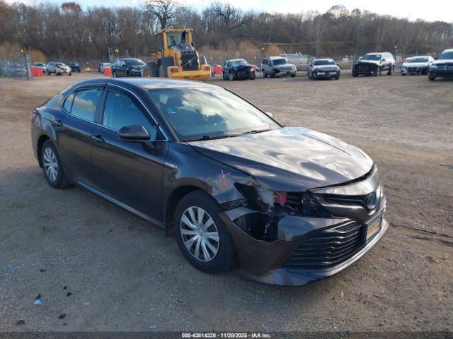 2019 TOYOTA CAMRY HYBRID 4T1B31HK5KU516244