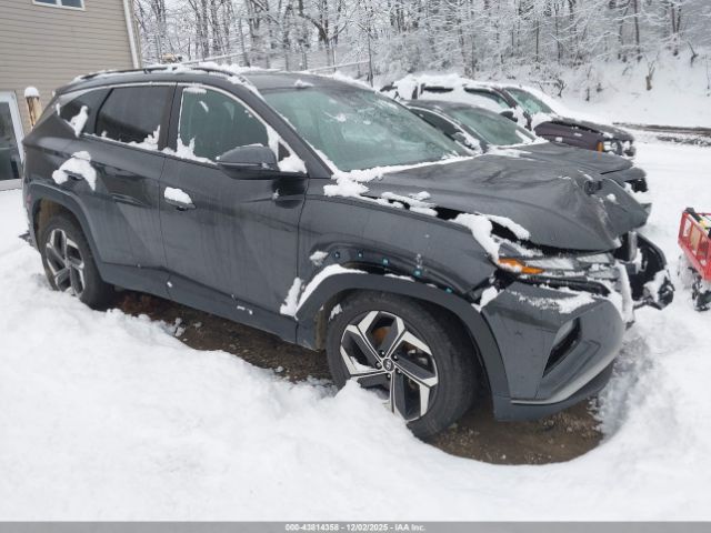 2023 HYUNDAI TUCSON 5NMJFCAE7PH184653