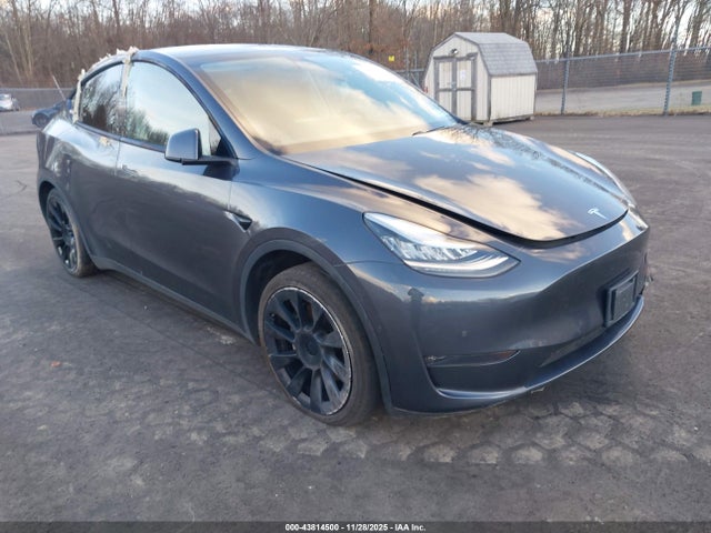 2020 TESLA MODEL Y 5YJYGDEE3LF048656 Photo 0