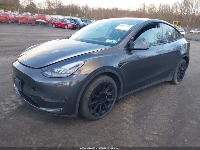 2020 TESLA MODEL Y 5YJYGDEE3LF048656 Photo 1