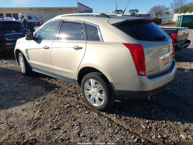 2010 CADILLAC SRX 3GYFNAEY8AS625766 Photo 2