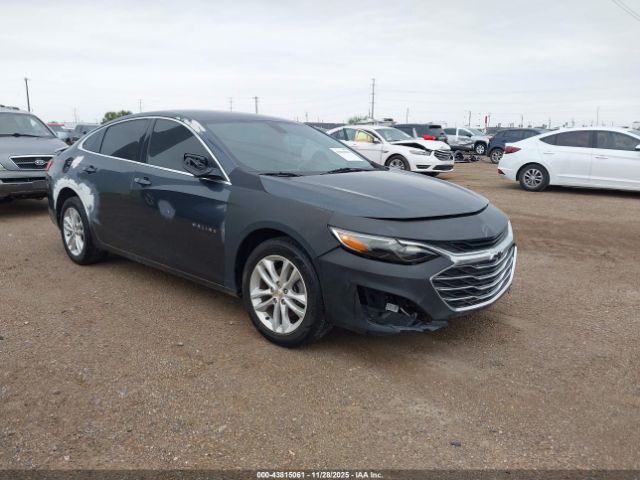 2019 CHEVROLET MALIBU 1G1ZG5ST7KF199886
