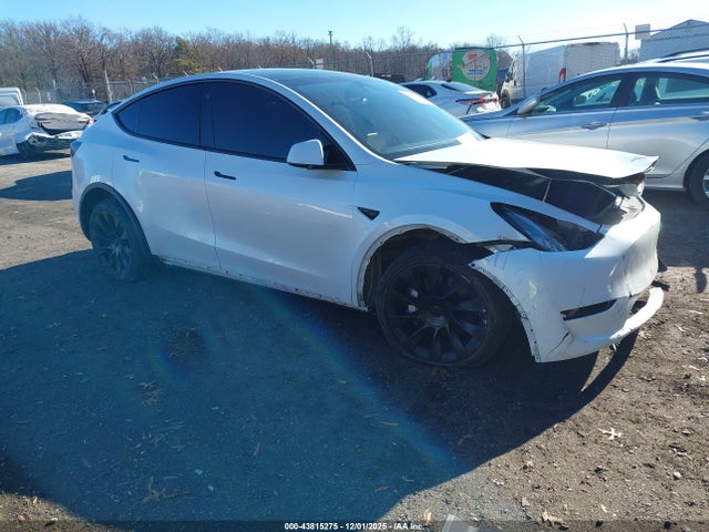 2023 TESLA MODEL Y 7SAYGDEE5PA030956 Photo 0